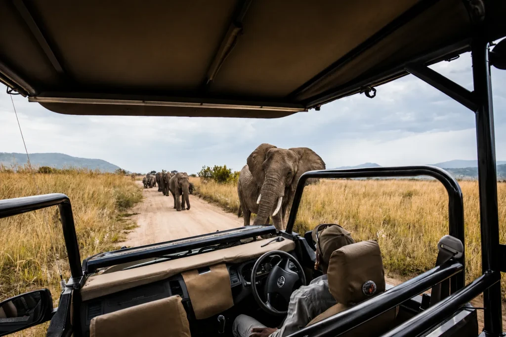 A close elephant encounter is the payoff of a well-planned Kenya safari from Dubai