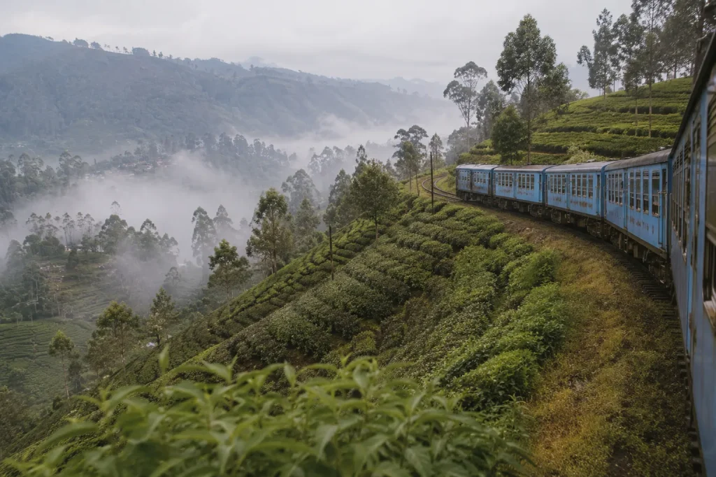 Train through Sri Lanka's hill country tea terraces near Ella, a reserved-seat route for eco lodge trips