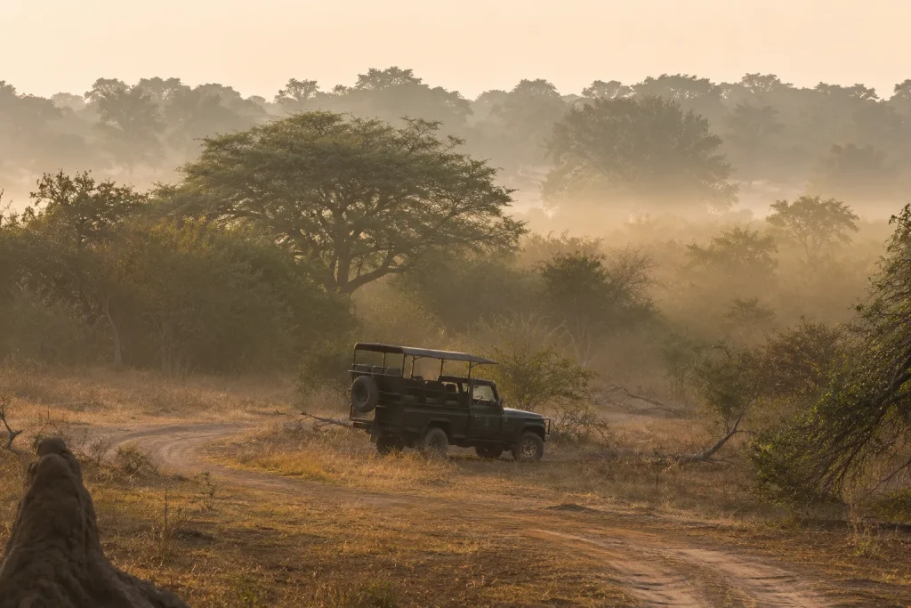 A single jeep on a quiet Yala safari track, the version of Sri Lanka eco lodges deliver