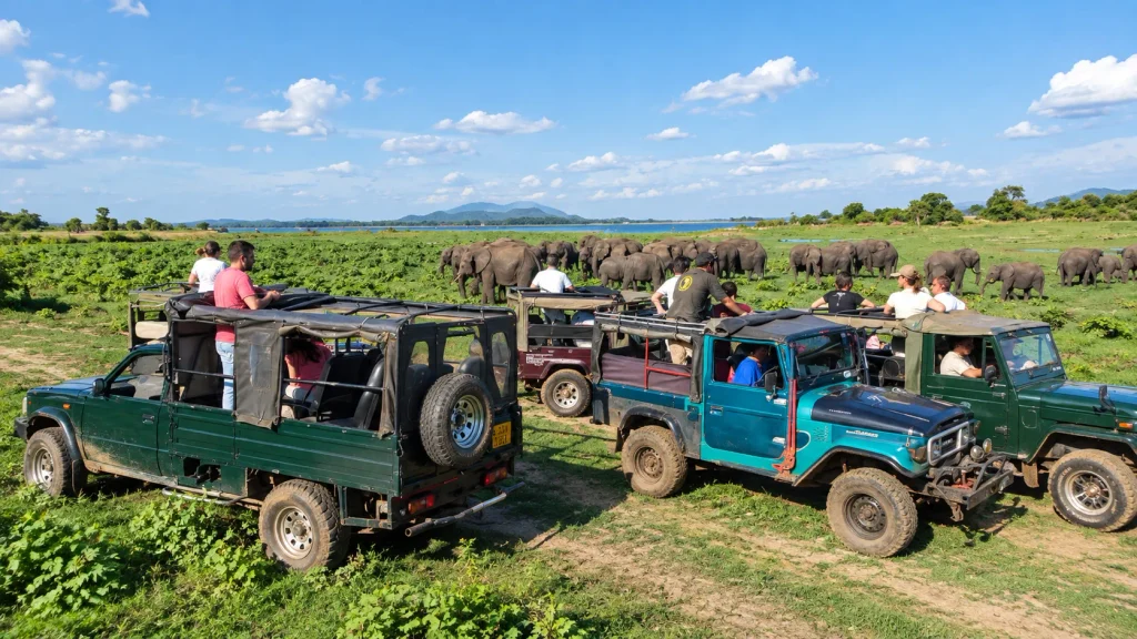 Jeep safari watching elephants at Minneriya, a late-afternoon stop on a Sri Lanka Family trip | Sri Lanka ETA for Pakistani passport