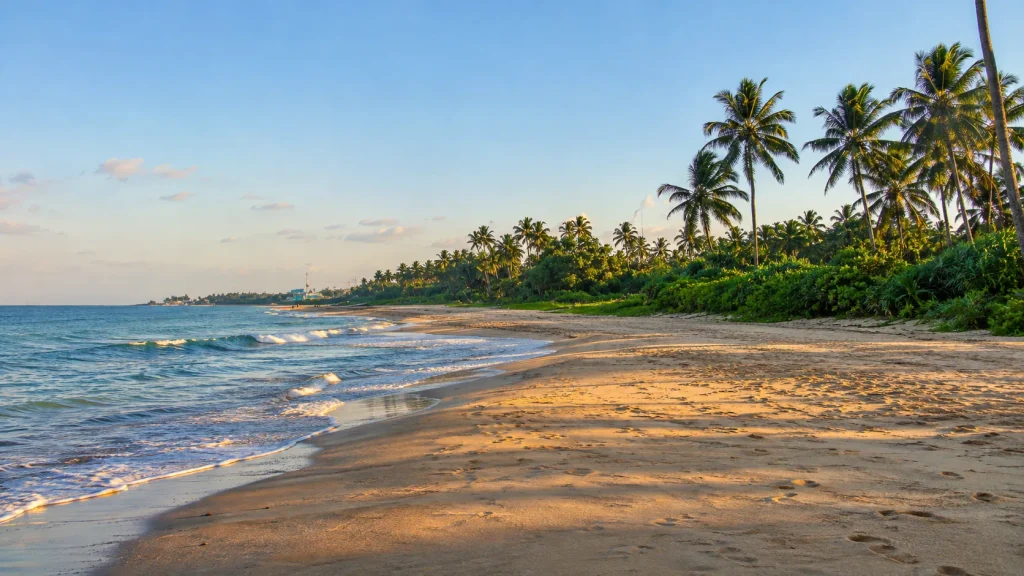 Sunrise on a palm-lined southwest coast beach, dry season base for a Sri Lanka Ayurveda retreat