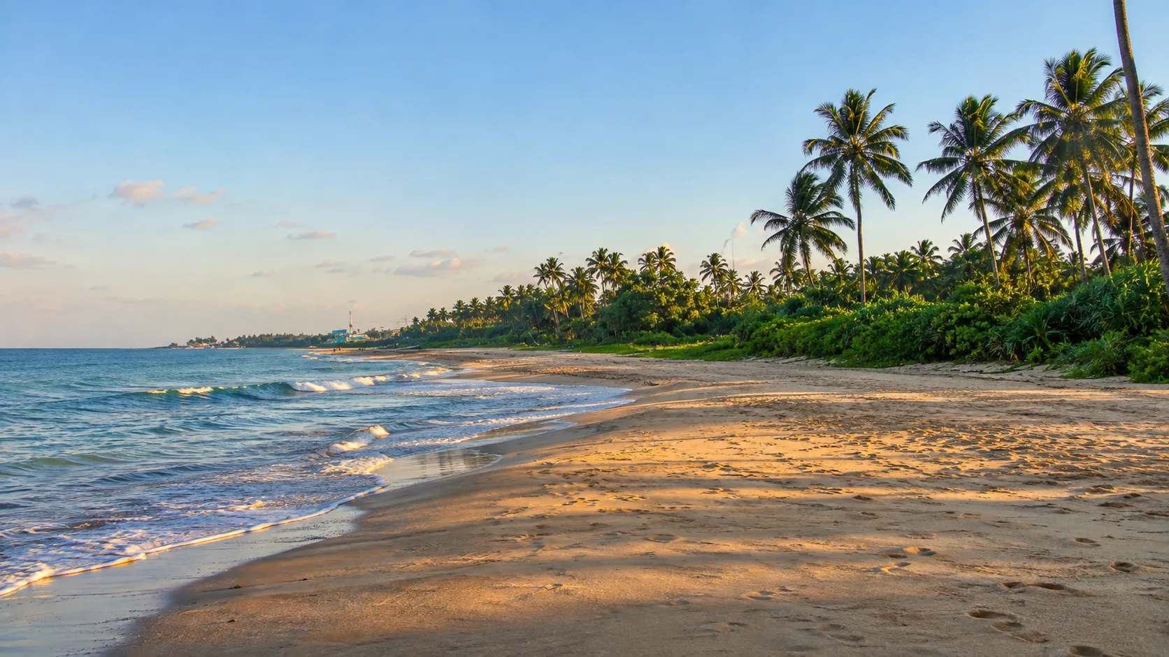 Sunrise on a palm-lined southwest coast beach, dry season base for a Sri Lanka Ayurveda retreat