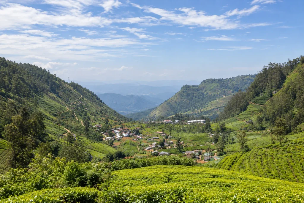 Terraced tea plantations in Sri Lanka's Kandy hills, the cooler counterpart to a coastal retreat